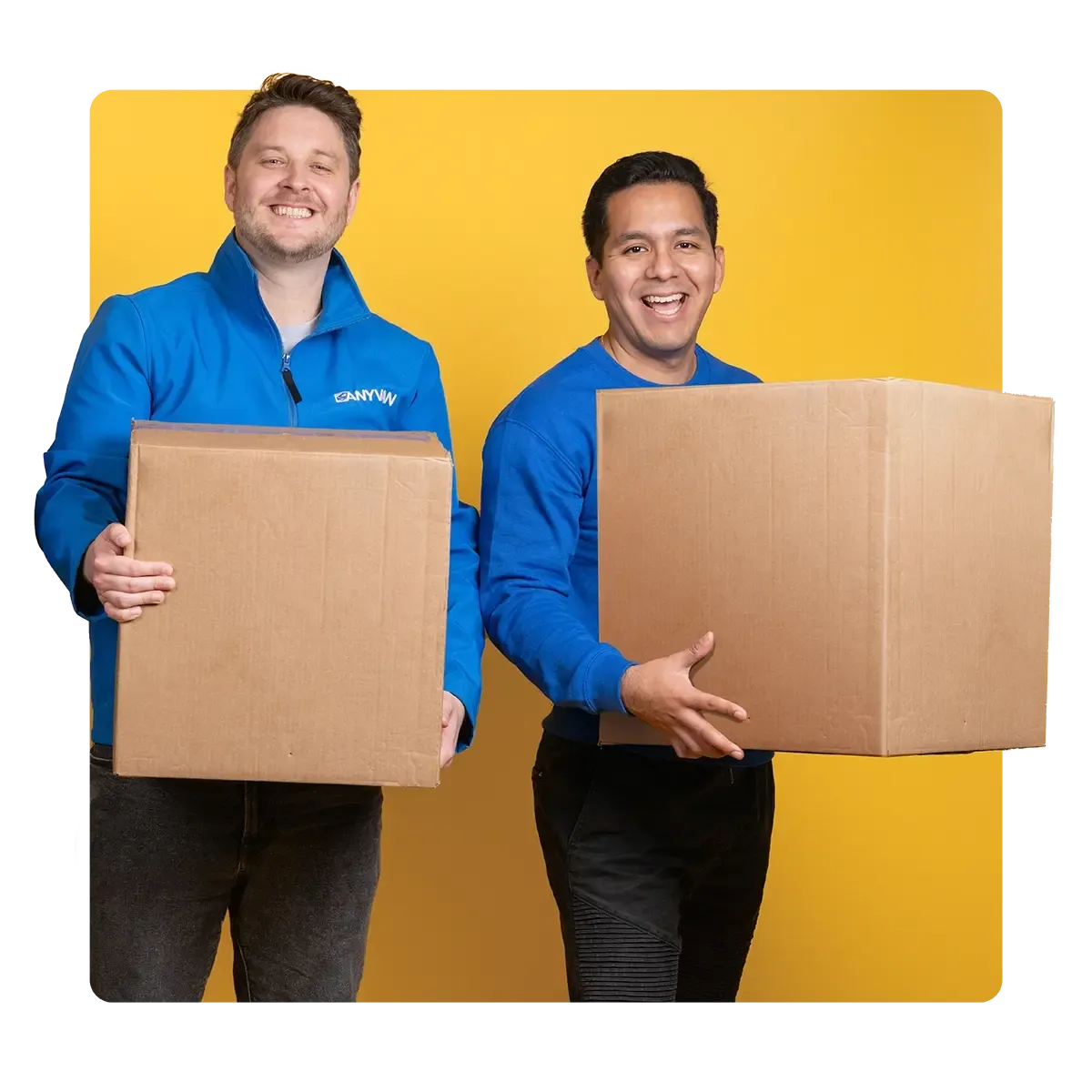 Anyvan_2TP-BOXESwebp-1.webp