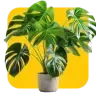 Ecofootprint_64x64-1.webp