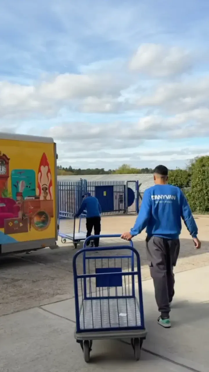 Moving specialists loading the van