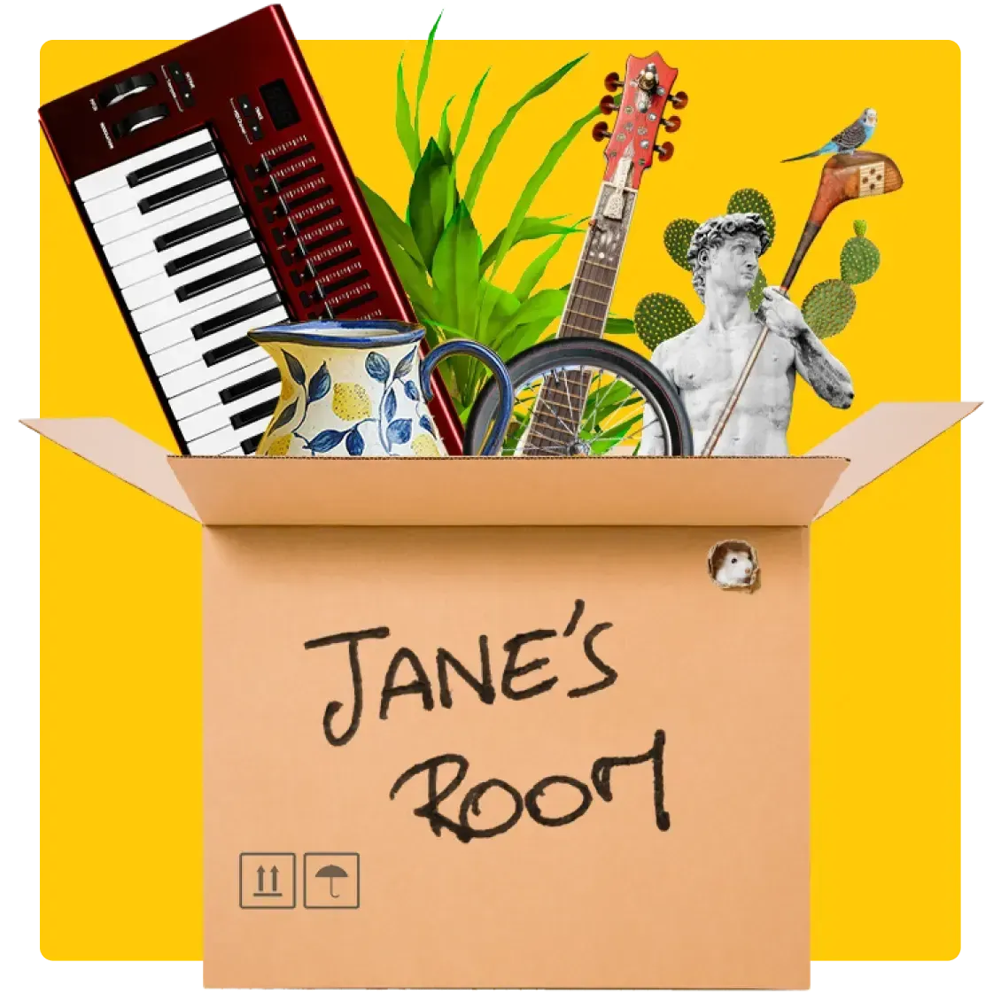 Image of a box labelled Jane