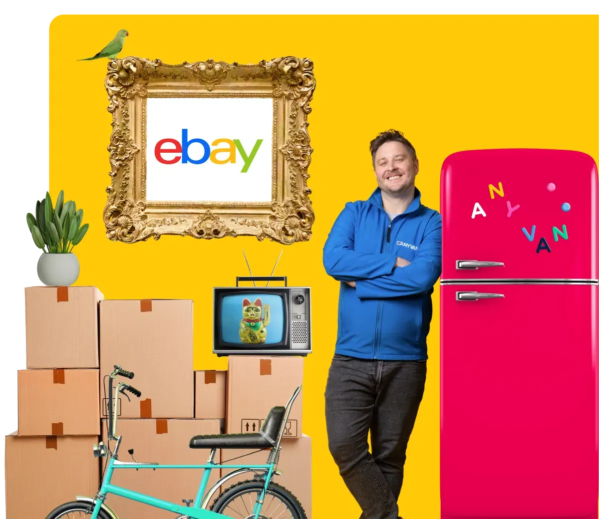 eBay courier partner for large item delivery -AnyVan 
