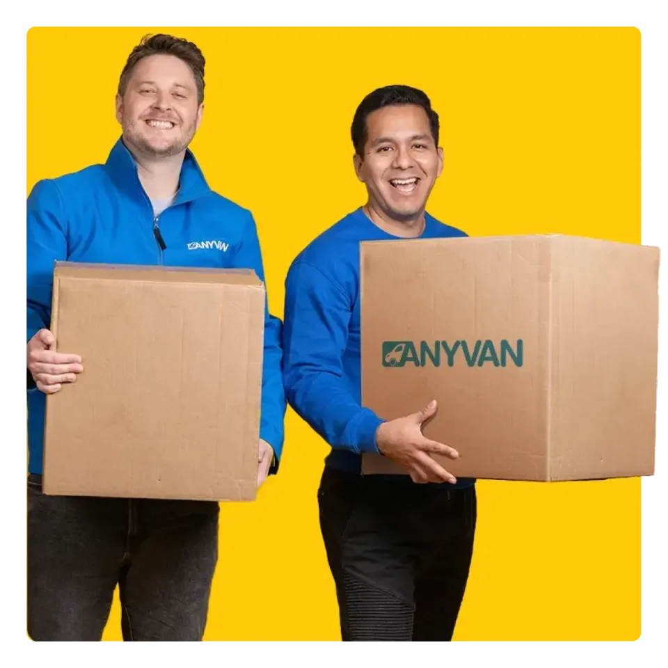 Two Removal experts carrying boxes