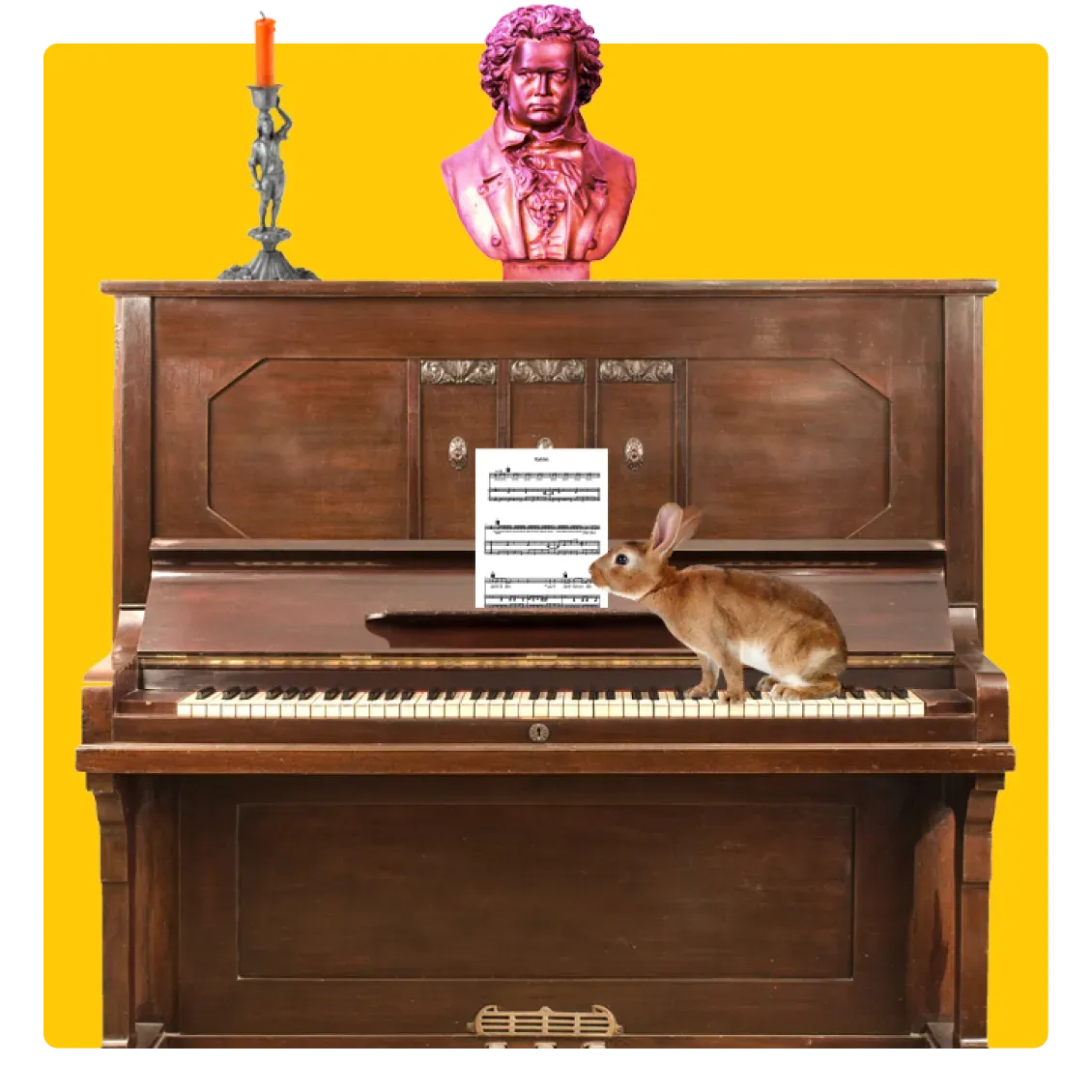 Mudanzas de pianos
